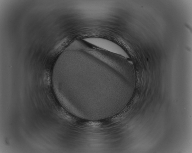 X0000091530313200709071047
