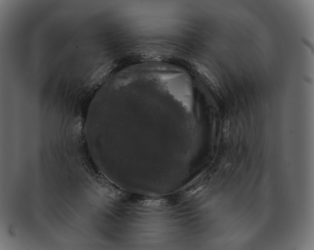 X0000091530314200709071047