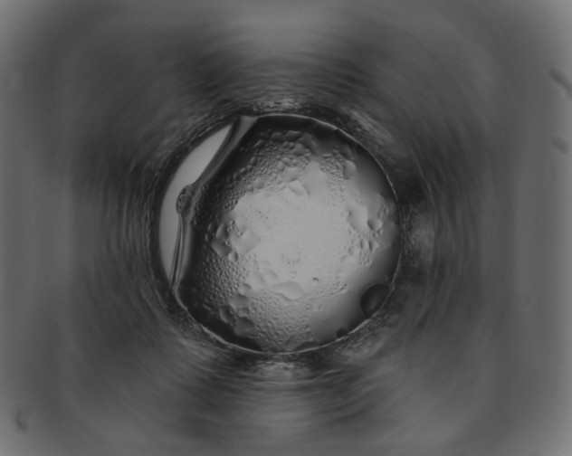 X0000091530315200709071047