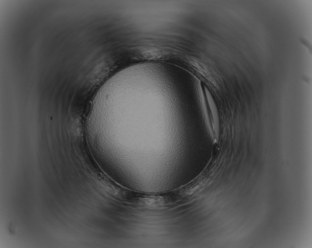 X0000091530317200709071047