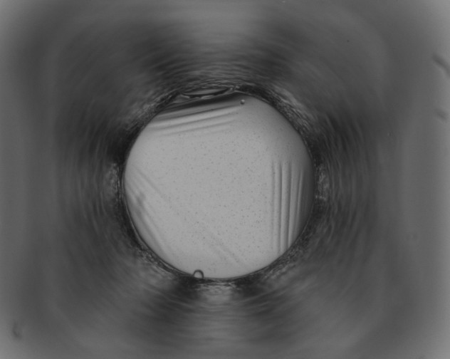 X0000091530318200709071047