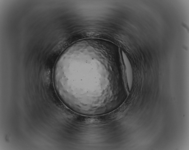 X0000091530319200709071047