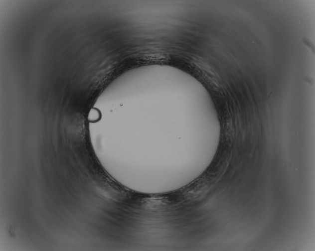 X0000091530320200709071047
