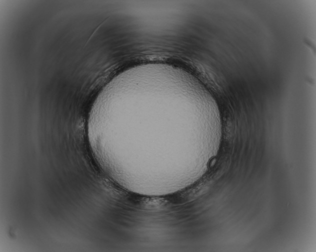X0000091530321200709071047