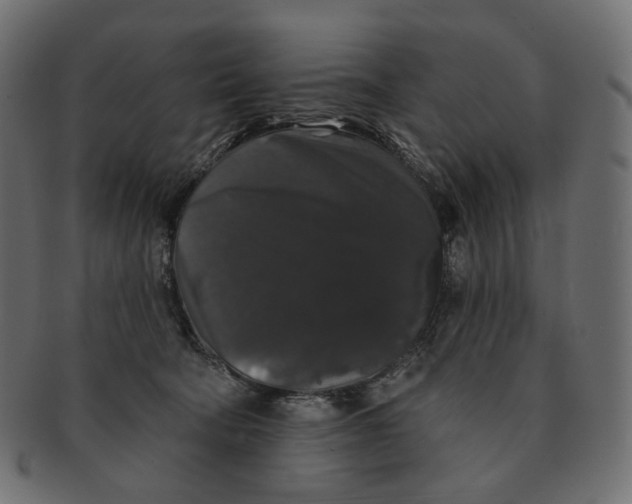 X0000091530322200709071047