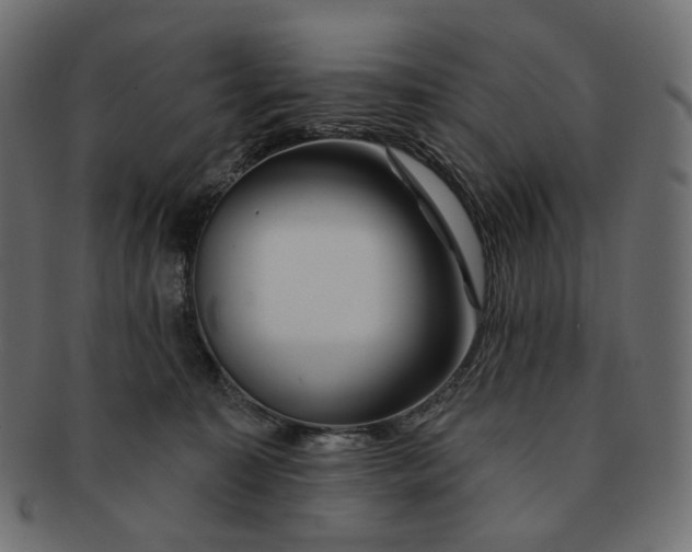 X0000091530323200709071047