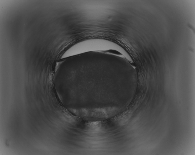 X0000091530325200709071047