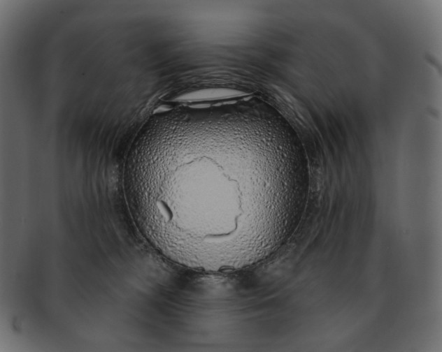X0000091530326200709071047
