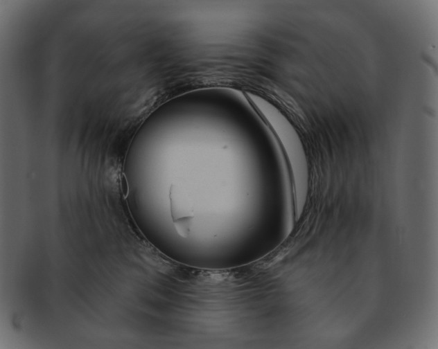 X0000091530329200709071047
