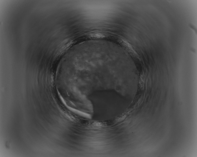 X0000091530330200709071047