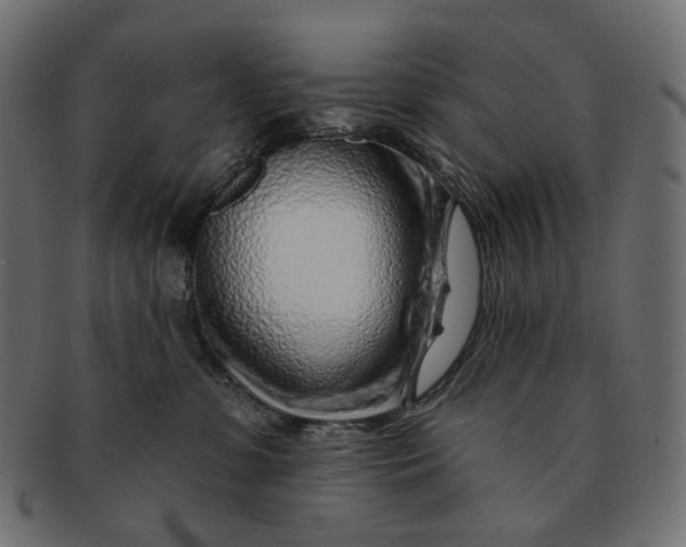 X0000091530331200709071047