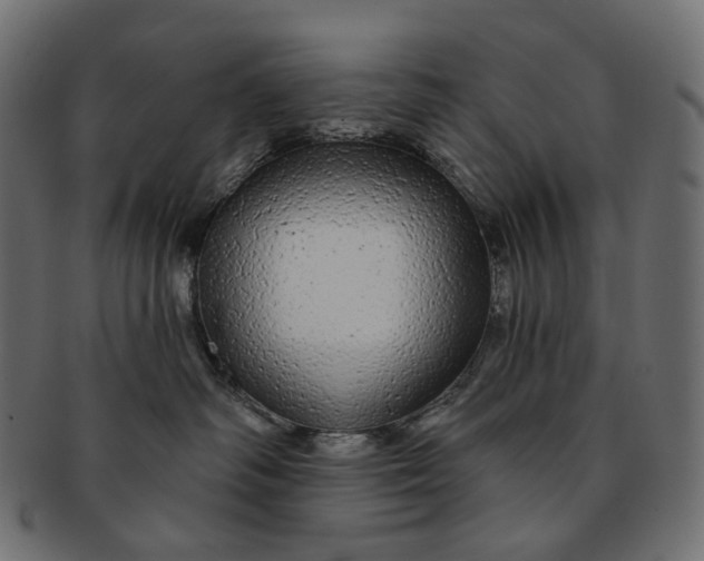 X0000091530334200709071046