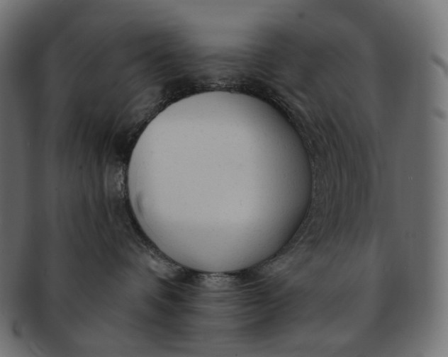 X0000091530336200709071046