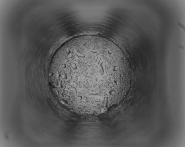 X0000091530337200709071046