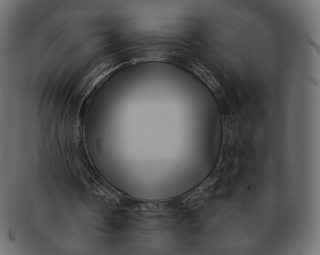 X0000091530338200709071046