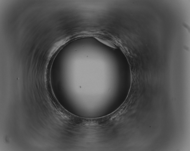 X0000091530340200709071046