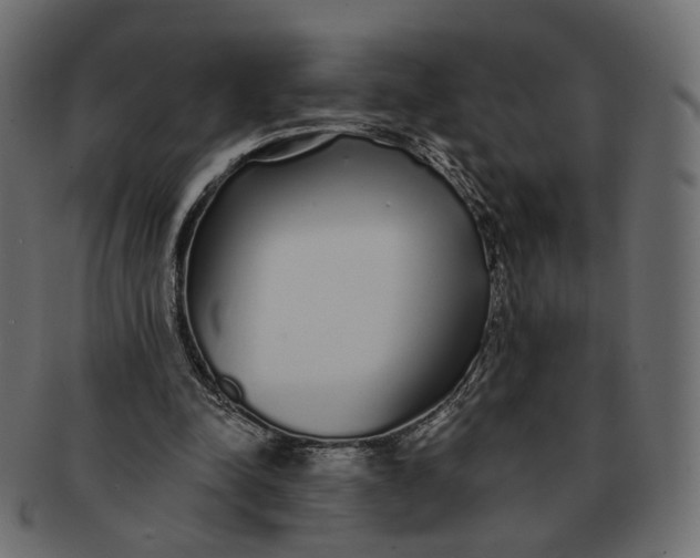 X0000091530342200709071046