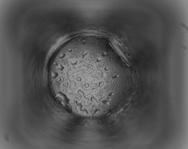 X0000091530343200709071046