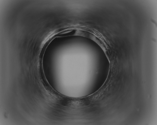 X0000091530344200709071046
