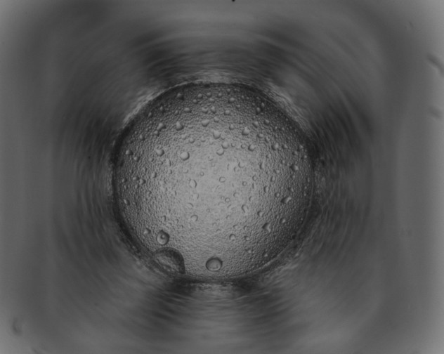 X0000091530347200709071046
