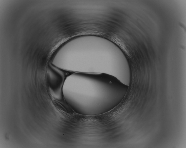 X0000091530348200709071046