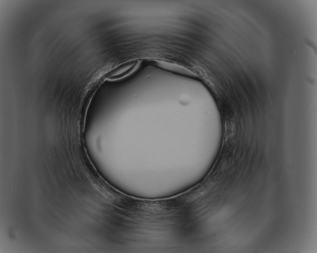 X0000091530349200709071046