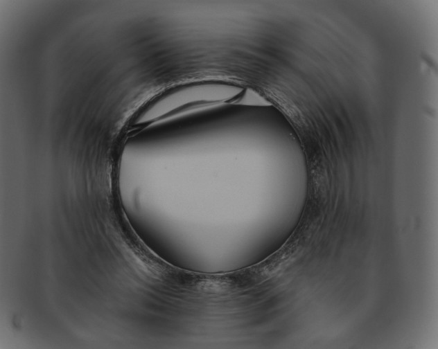 X0000091530350200709071046