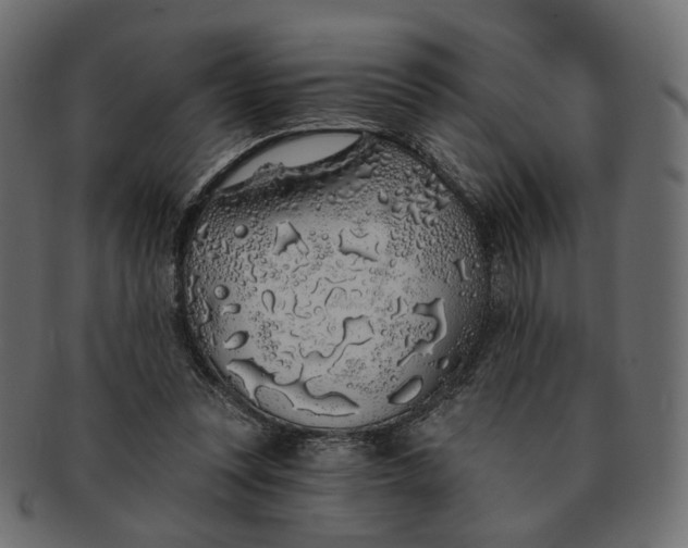X0000091530351200709071046