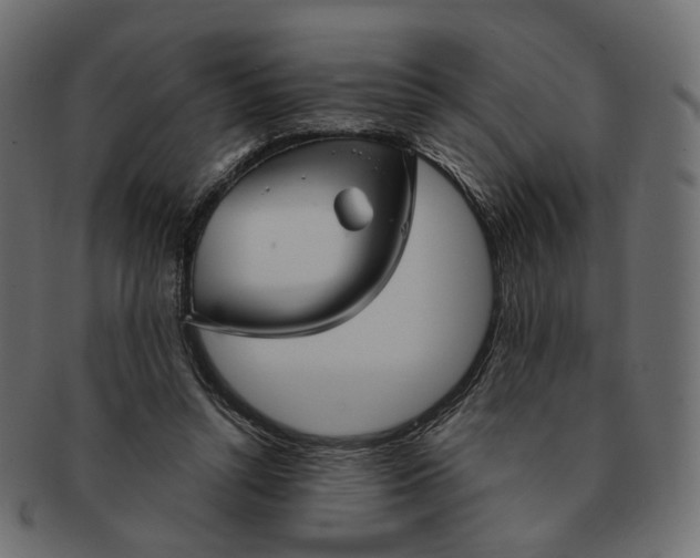 X0000091530352200709071046