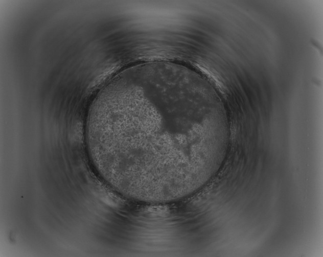 X0000091530353200709071046