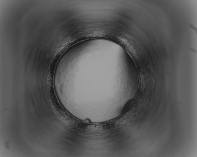 X0000091530354200709071046