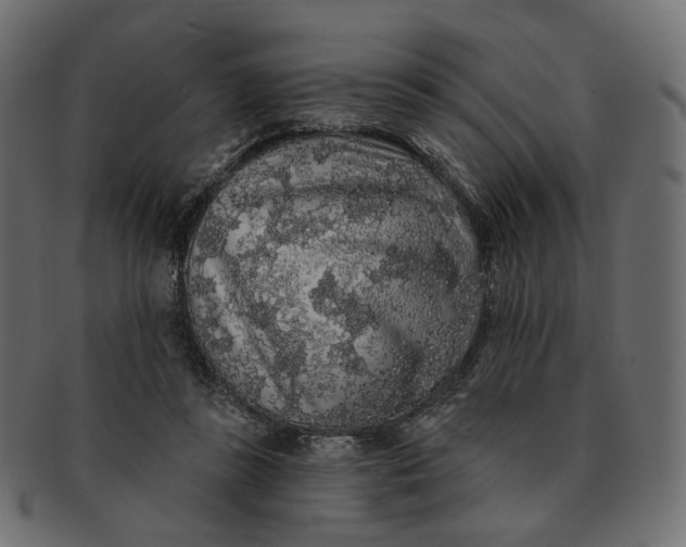X0000091530355200709071046
