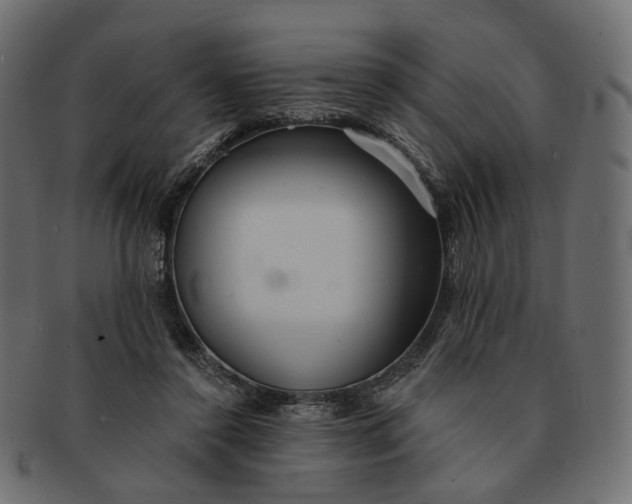 X0000091530356200709071046