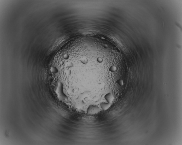 X0000091530357200709071046