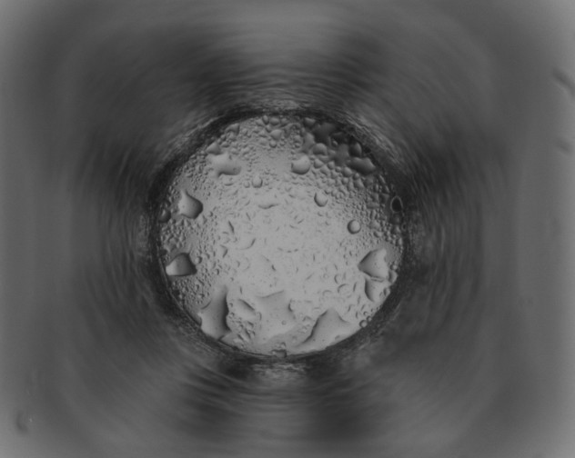X0000091530359200709071046