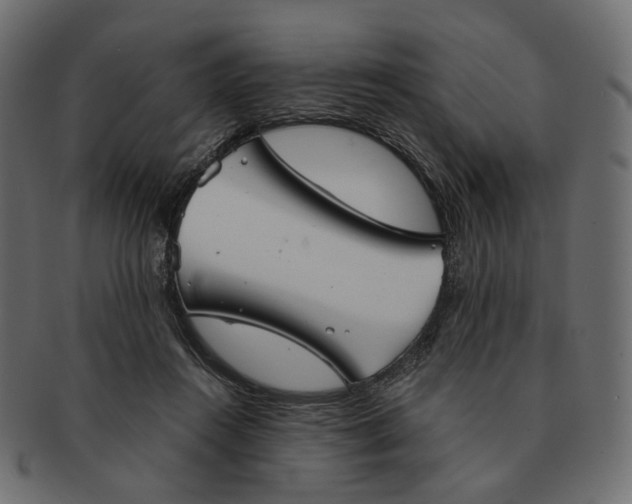 X0000091530360200709071046