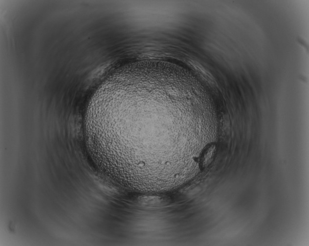 X0000091530361200709071046