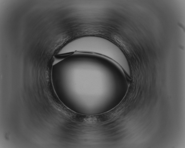 X0000091530362200709071046