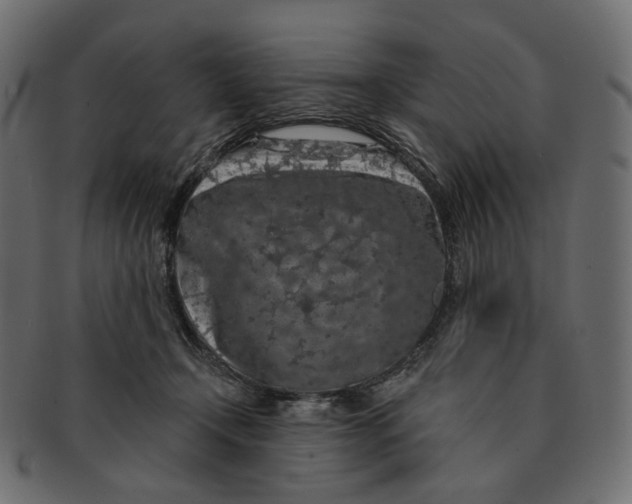 X0000091530366200709071046