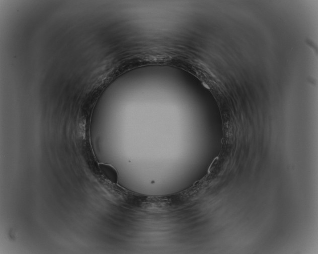 X0000091530368200709071046