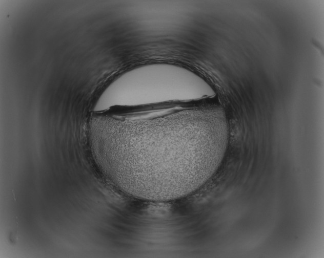 X0000091530369200709071046