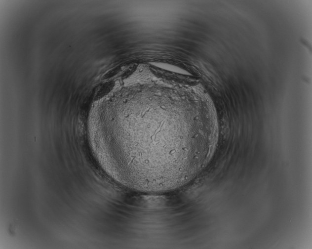 X0000091530371200709071046
