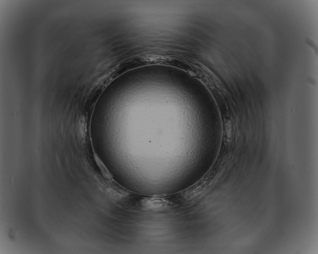X0000091530372200709071046