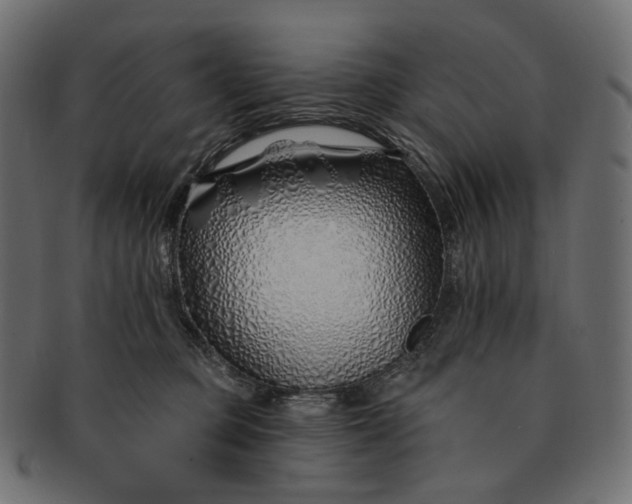 X0000091530373200709071046