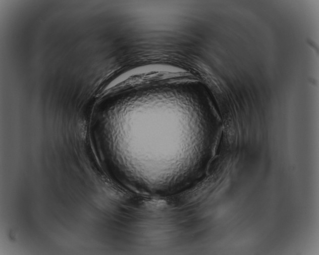 X0000091530374200709071046