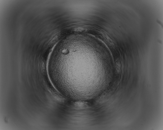 X0000091530375200709071046