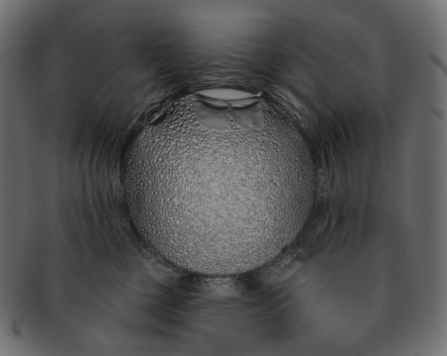 X0000091530377200709071046