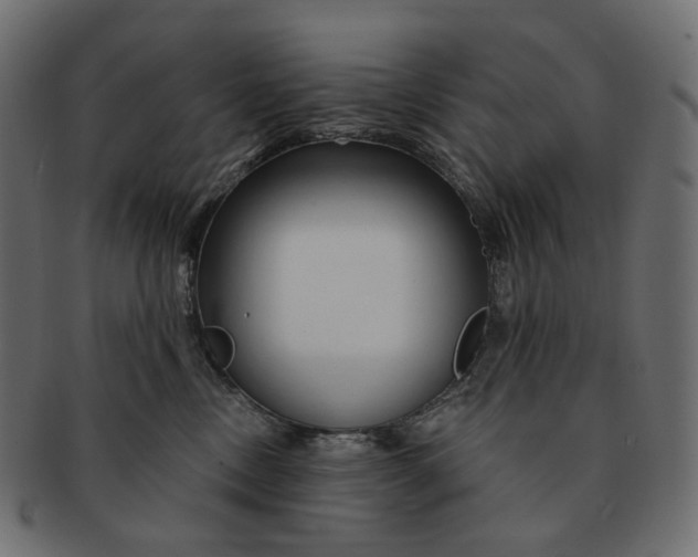 X0000091530378200709071046