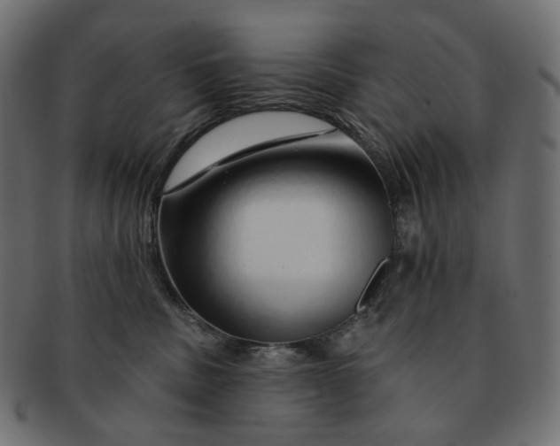 X0000091530379200709071046