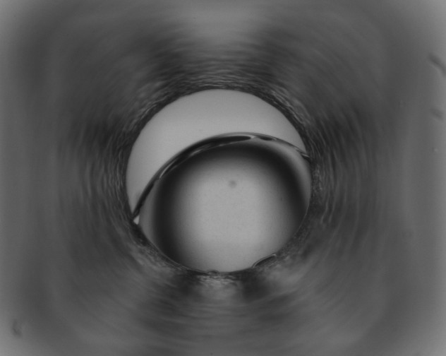 X0000091530380200709071046